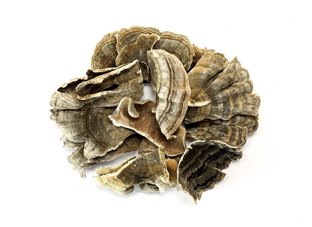 Living Farms Turkey Tail Mushroom 100 GRAMS Whole Dried Organic Polyporus Vesicolor Yun Zhi