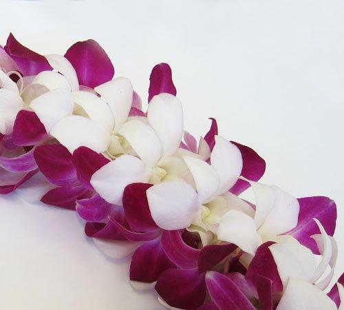 Hawaii Flower Lei Fresh Hawaiian Lei - Double Orchid Leilani