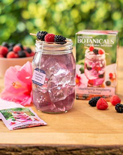 Bigelow Tea Bigelow Botanicals Cold Water Infusion Blackberry Raspberry Hibiscus Tea Bags 18 Count Box (Pack of 1), Herbal Infusion, Caffeine Free, 18 Tea Bags Total