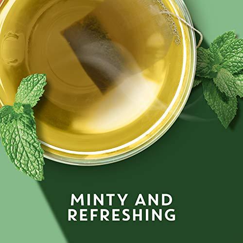 TAZO TAZO REFRESH Mint Herbal Tea Bags Caffeine-Free 20 Herbal Tea Bags