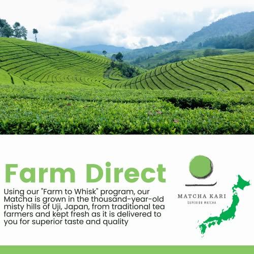 Matcha Kari Dr. Weil Matcha Kari Superior Japanese Matcha Green Tea Sticks (2) and 100g Culinary Bundle - Organic Ceremonial Grade Powder Single Serve Packets (24 packets) and 100g Culinary Grade Pouch