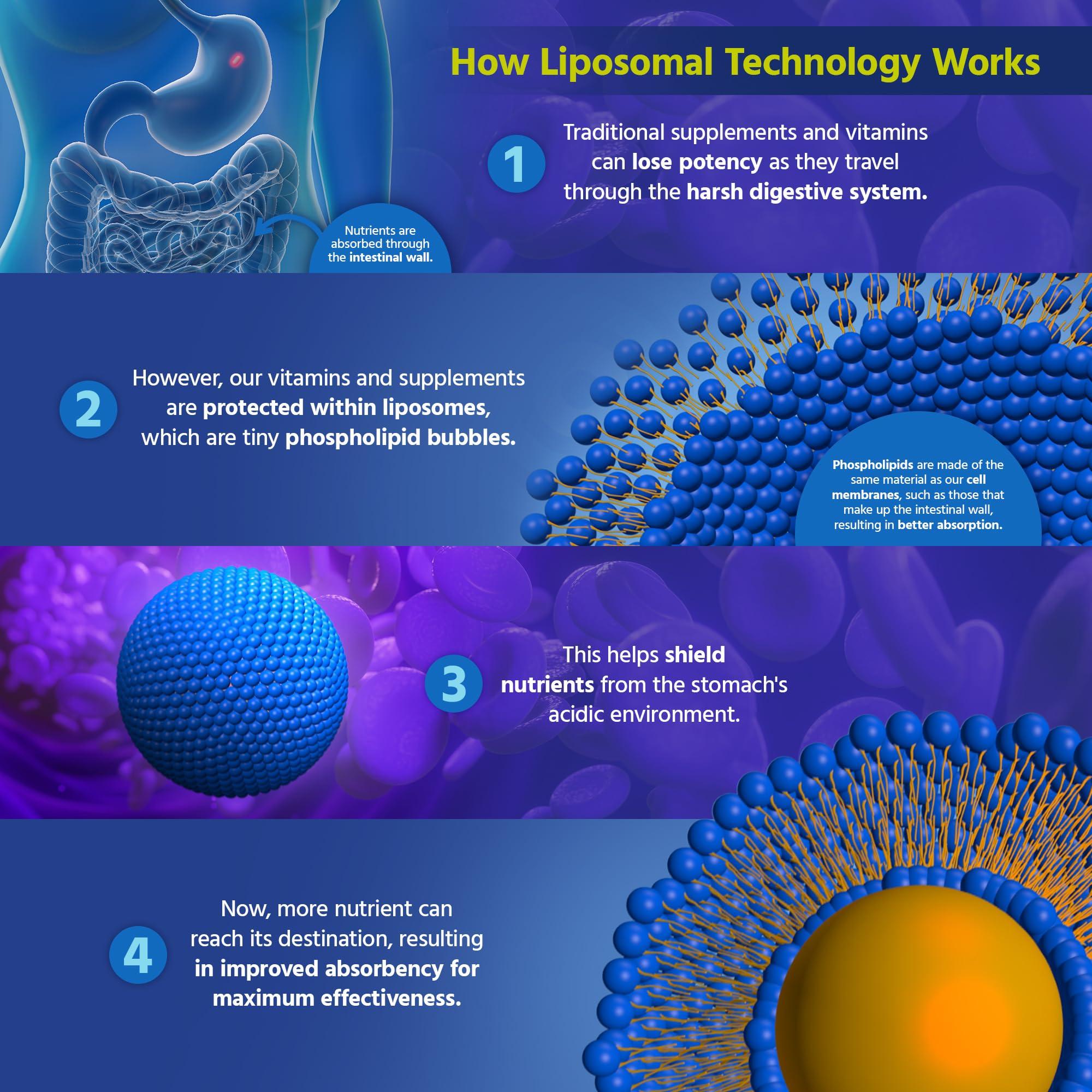 Core Med Science Liposomal Vitamin C 1000mg by Core Med Science, 90 Softgels - Non-GMO Natural Liposomal Vitamin C Supplement That Promotes Healthy Skin - Immune System Booster for Adults, Supports Collagen Formation