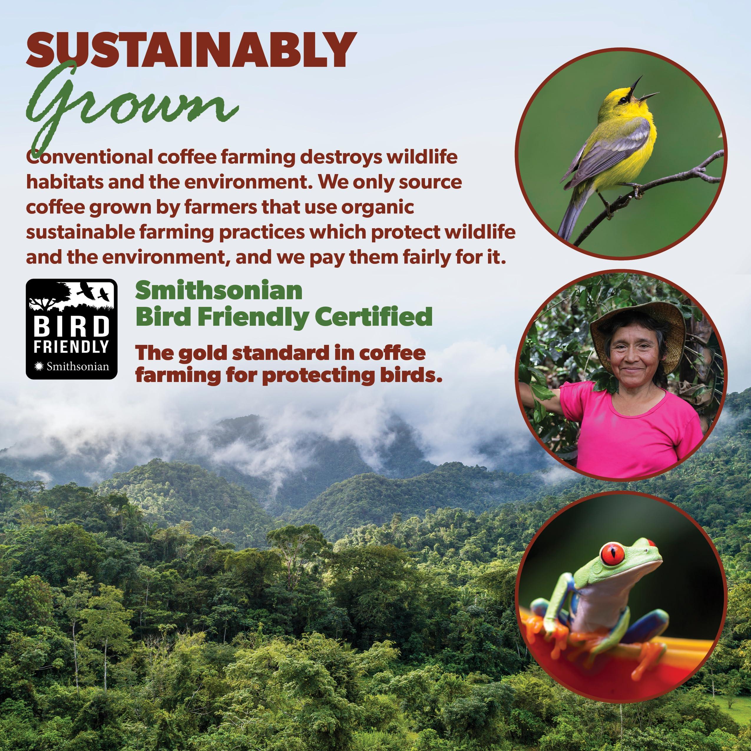 Java Planet Organic Coffee Roasters Java Planet Low Acid Coffee, Organic Guatemala Single Origin: Whole Bean Medium Roast - Smooth Full Flavored Coffee Bean, Smithsonian Bird Friendly 5LB Bag