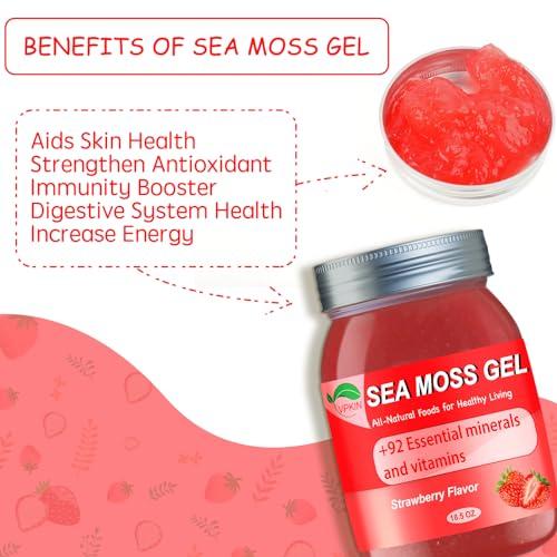 VPKIN Sea Moss Gel,Organic Raw Irish Seamoss Gel Advanced Superfood,Immune and Digestive Support,Vitamin and Minerals Supplement(Strawberry,18.5OZ)