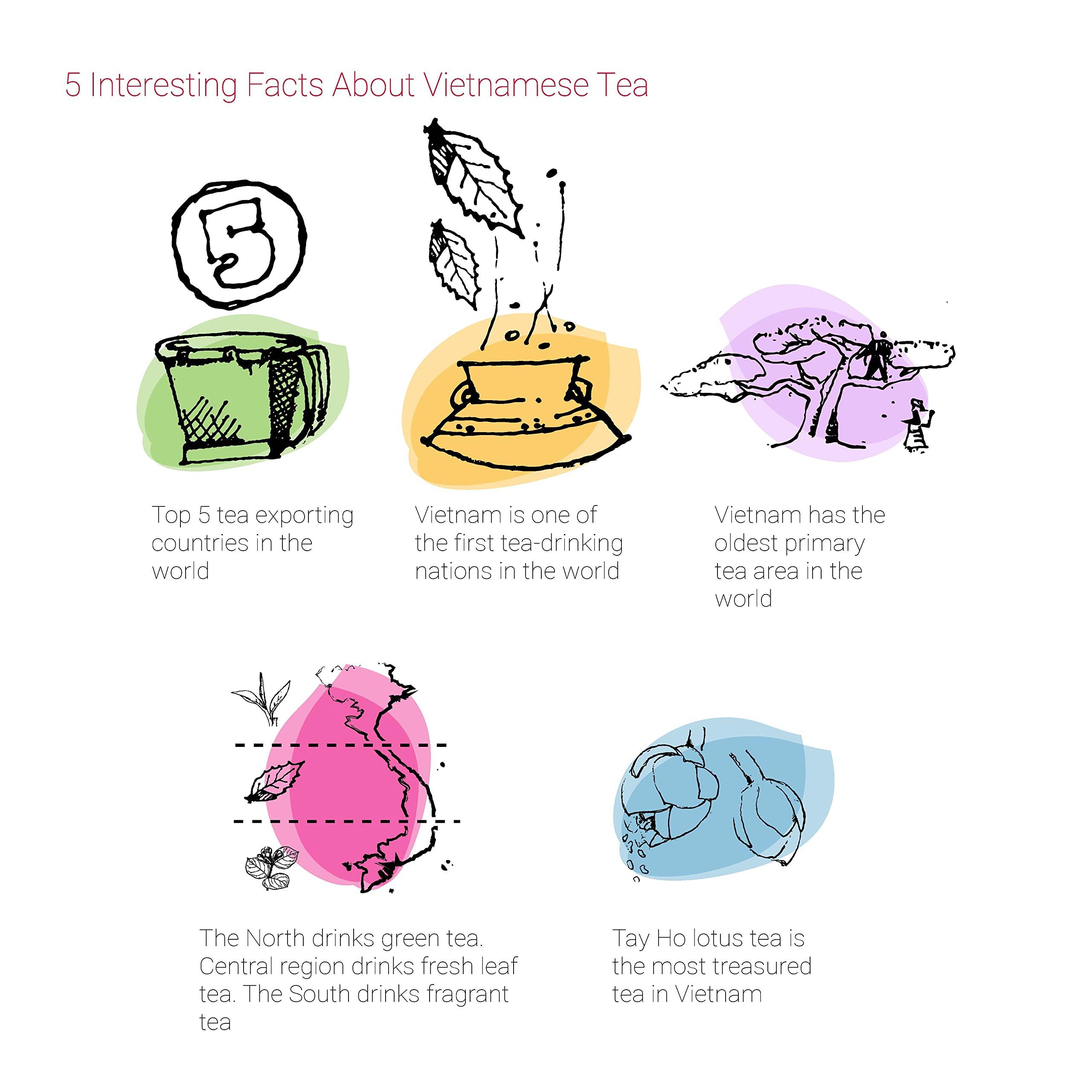 TRA VIET TRAVIET TRAVIET Gift Set | Gifts For Holiday | The Best Collection For Vietnam Tea Sampler 6 Tastes | Oolong Tea - Loose Leaf Black Tea - Ancient Green Tea - Jasmine Tea - English Breakfast Tea - Ginger Tea