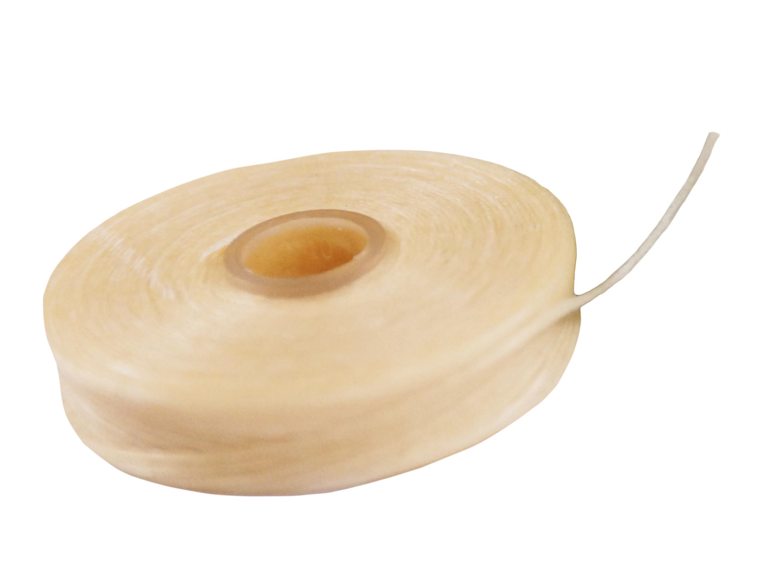 Woobamboo WooBamboo! All Natural Silk Dental Floss, Zero Waste, 66 feet of Mint-Flavored Floss, Biodegradable (Pack of 2)