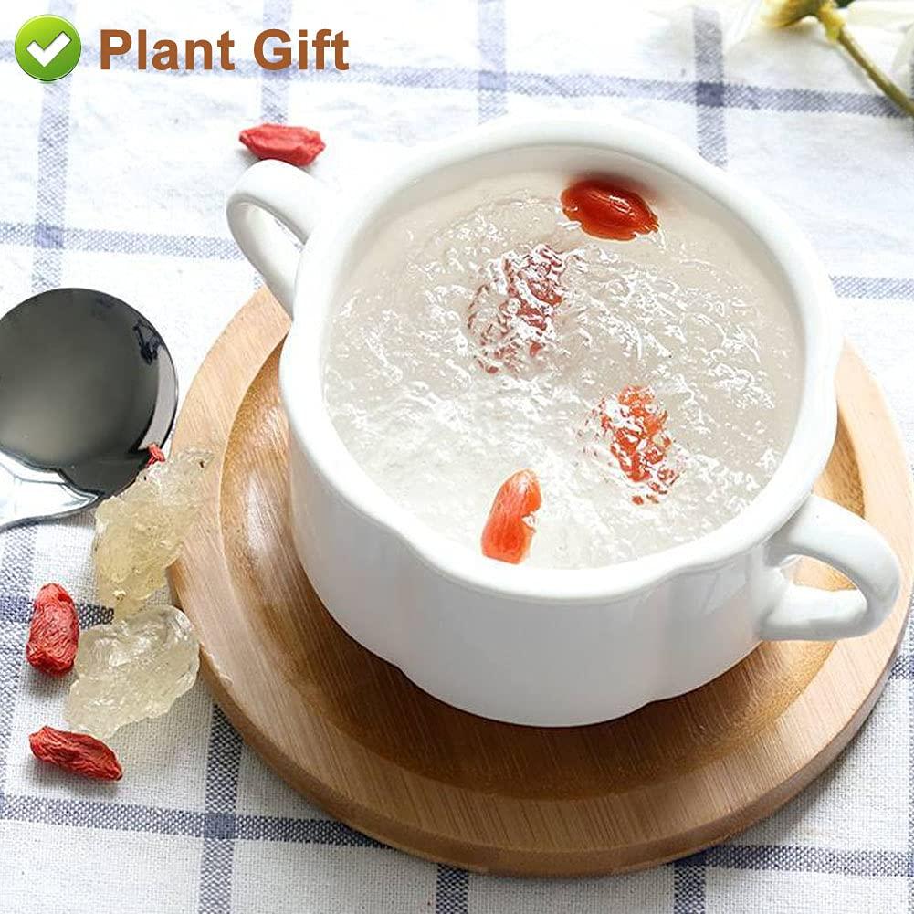 Plant Gift Plant Gift Wild Edible Gum,Tragacanth Gum ?? Snow Swallow xueyan No Colors, NON-GMO 150g / 5.29oz