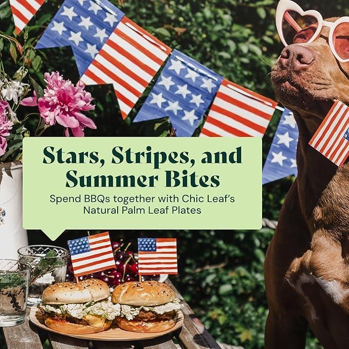 Chic Leaf Chic Leaf Palm Leaf Bowls Disposable Bamboo Heart Shaped Bowls 6.5 Inch Heart Dish (50 Heart Bowls) - Compostable Heart Shaped Plates - Cute Plates For Catering, Charcuterie, Parties