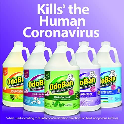OdoBan OdoBan Disinfectant Concentrate and Odor Eliminator, 2 Gallons, Fresh Linen Scent
