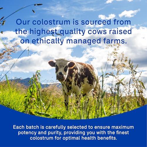 Mentor Mentor Colostrum Powder Supplement for Humans - Organic Bovine Colostrum Supplement for Gut Health, Hair Growth, Beauty, and Immune Support - Colostrum Protein