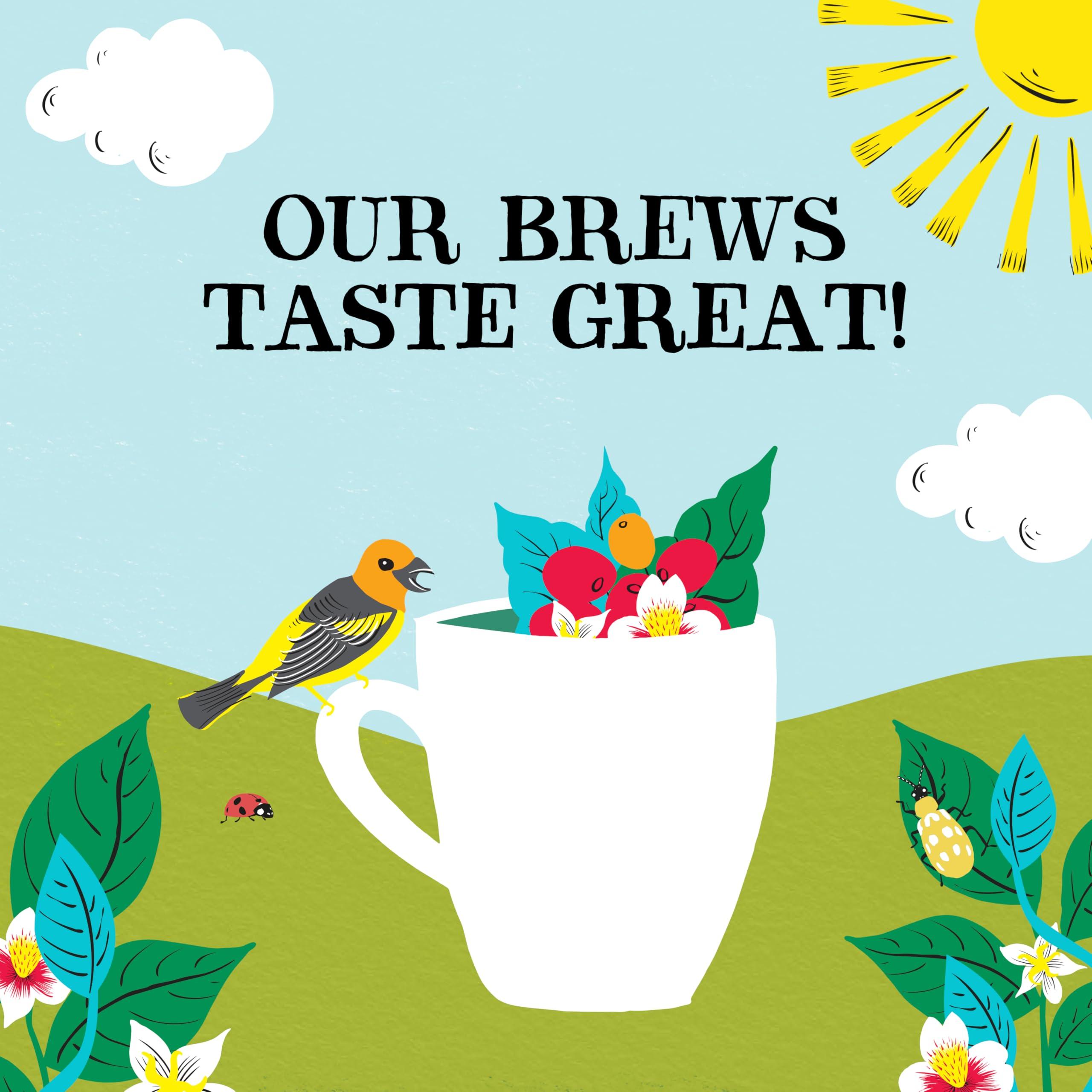 Clipper Natural, Fair & Delicious Clipper Coffee: Organic Latin American Decaf Instant Coffee Medium Roast Coffee, Freeze Dried & Ethically Sourced 100g (3.53oz)