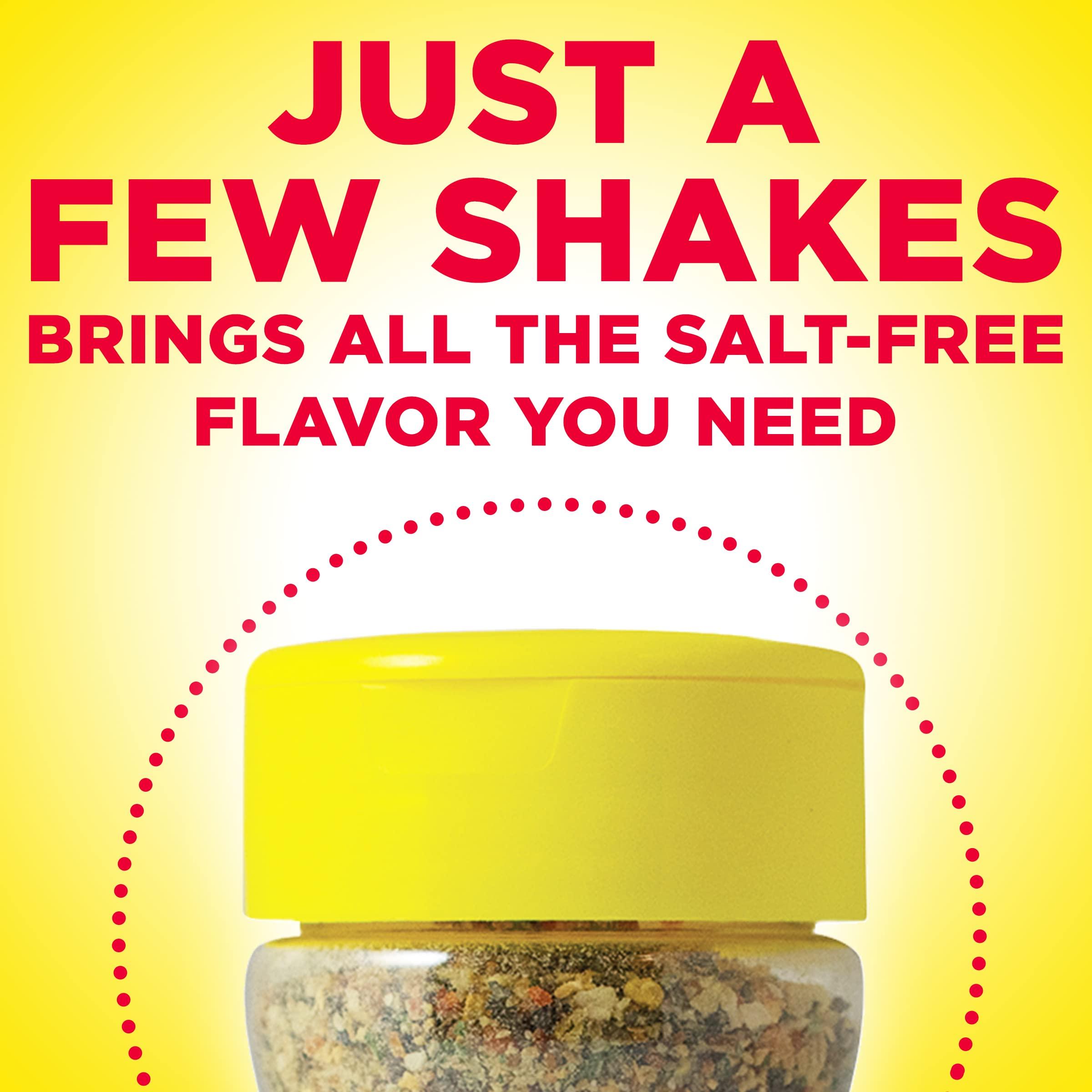 Dash Dash Salt-Free Seasoning Blend, Original, 2.5 Ounce (Pack of 2)