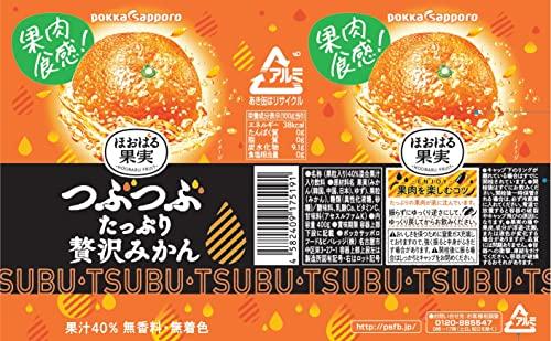 Pokka Sapporo Food & amp; Beverage Pokka Sapporo Orange Drink 24 Bottles, 400g