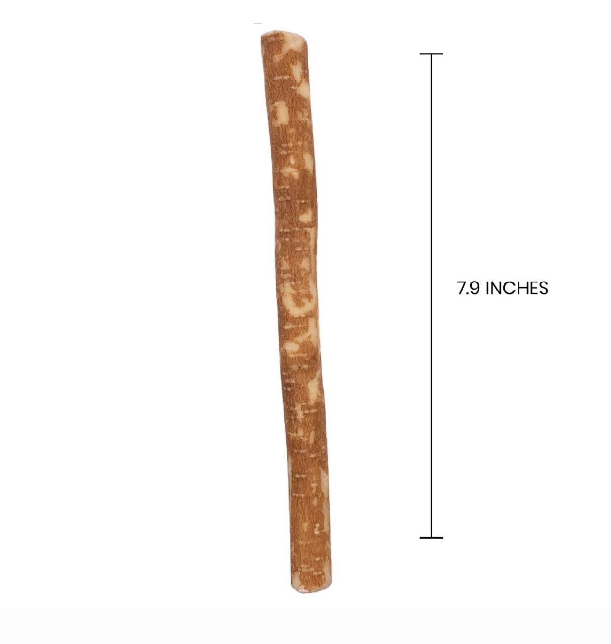 AL-TAQWA AL-TAQWA Miswak Stick |Miswak Toothbrush, Pack of 12, Natural Toothbrush, Chewable (Meswak)|Siwak Oral Hygiene, Teeth Whitening, Control Bad Breath | Eco-Friendly, Biodegradable, Nitric Oxide