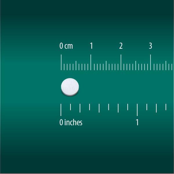 Globe Globe Chewable Mint Antacid Tablets for Acid Indigestion, Heartburn, and Upset Stomach - Bag of 10,000 Packets (20,000 Tablets). Made in The USA