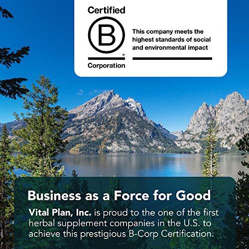 Vital Plan Vital Plan Active Enzymes Supplement by Dr. Bill Rawls - Digestive Enzymes for Gut Health & Digestion - Protease, Bromelain, Lactase, Amylase & Lipase (120 Capsules)