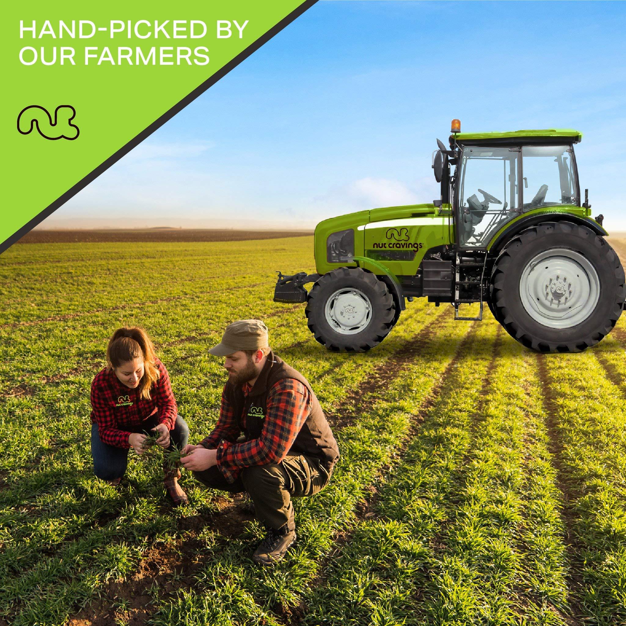 Nut Cravings NUT CRAVINGS - Brazil Nuts Roasted & Unsalted - No Shell, Whole (16oz - 1 LB) Bulk Nuts Packed Fresh in Resealable Bag - Healthy Protein Food Snack, All Natural, Keto Friendly, Vegan, Kosher