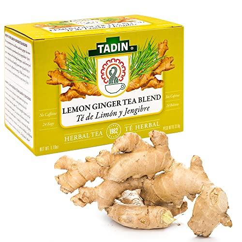 Tadin TADIN TEA BAG LEMON GINGER BLEND NAT, 24 Count (Pack of 6)