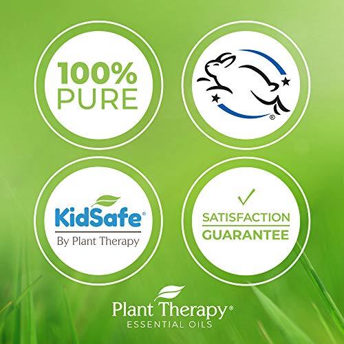Plant Therapy Plant Therapy Tea Tree Essential Oil 100% Pure, Pre-Diluted Roll-On, Natural Aromatherapy, Therapeutic Grade 10 mL (1/3 oz)