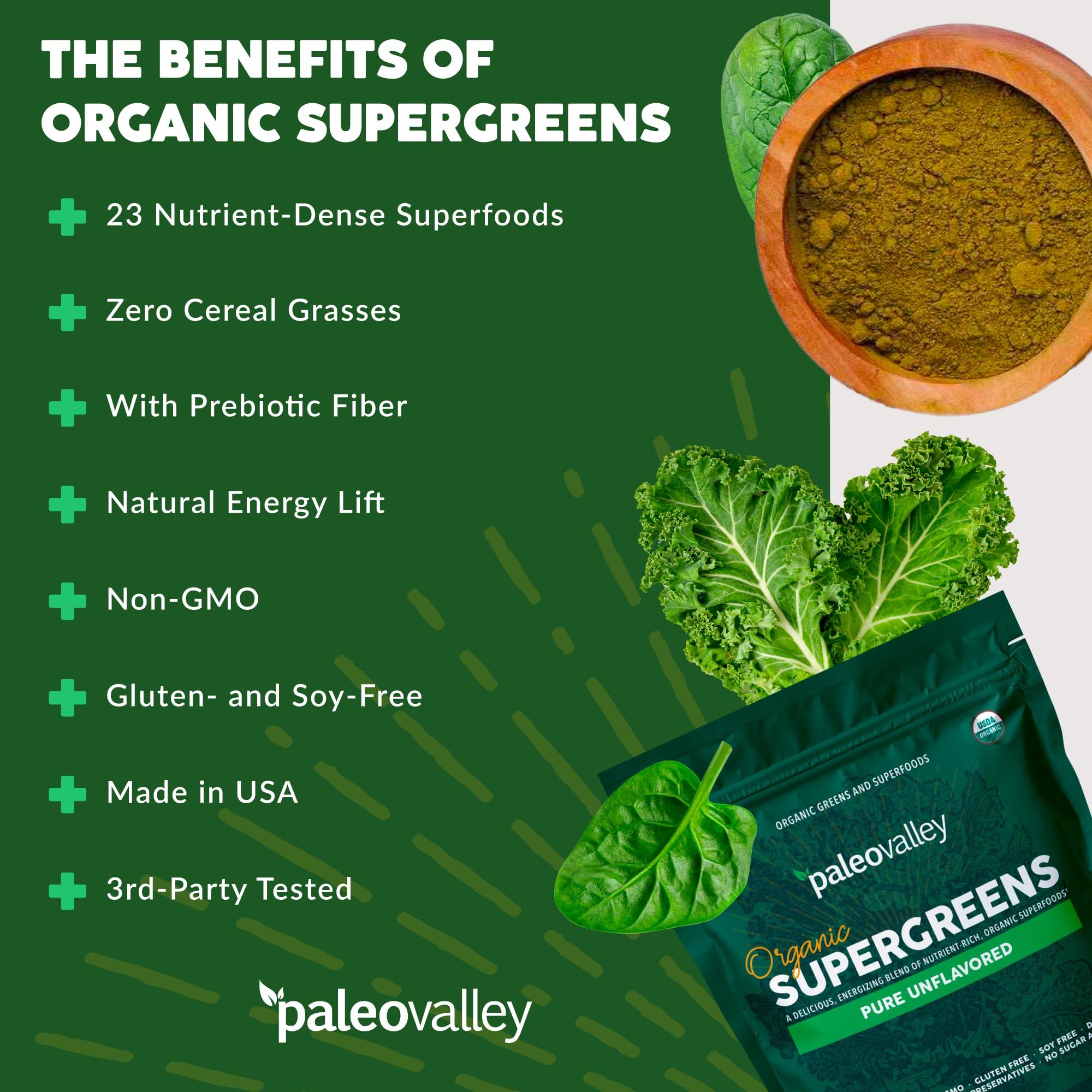 Paleovalley Paleovalley Organic Supergreens Powder - 23 Superfoods with Prebiotic Fiber for Energy and Immunity Support - No Cereal Grasses for Maximum Absorption - Pure Unflavored, 30 Servings