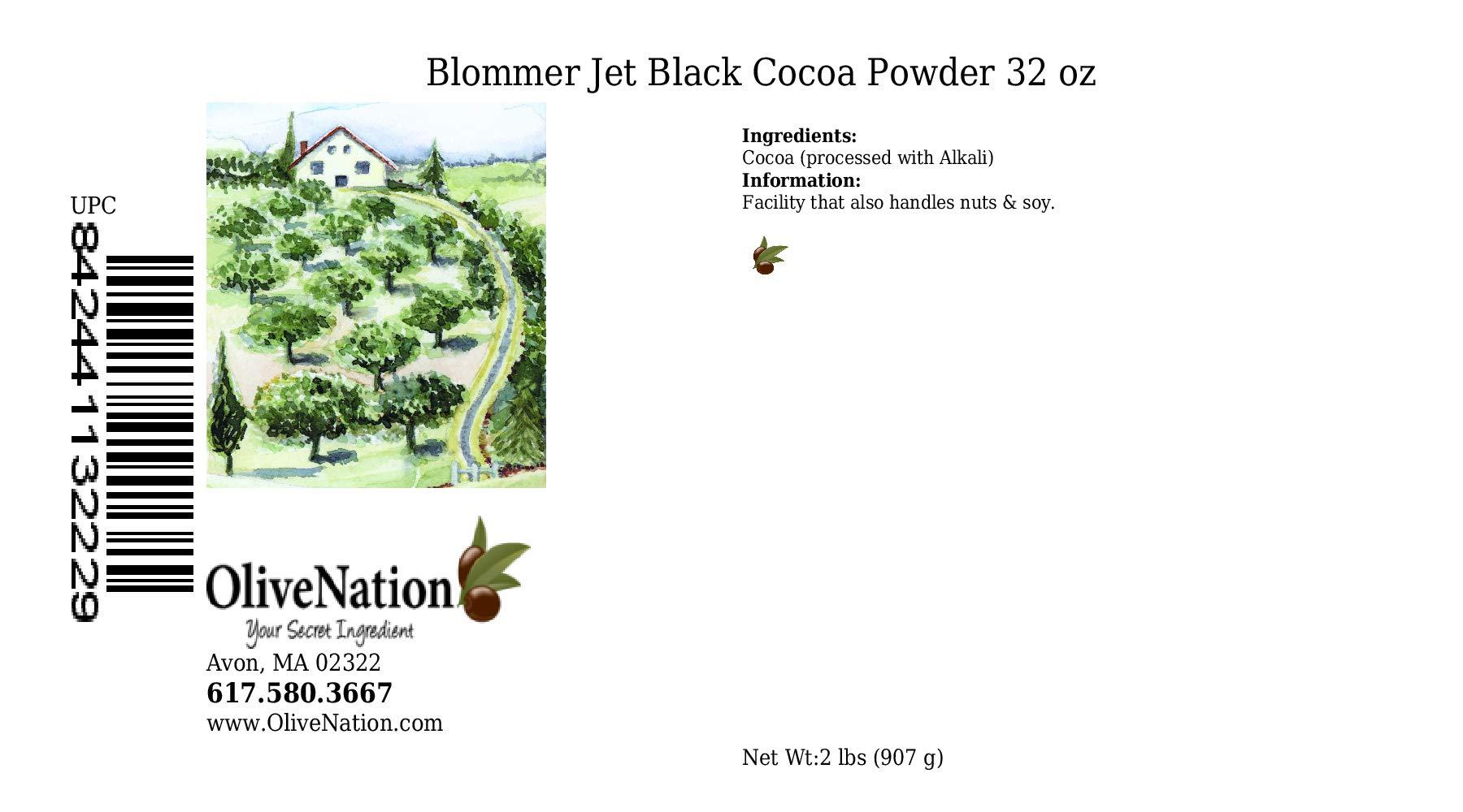 BLOMMER Blommer Jet Black Cocoa Powder from OliveNation - 32 ounces