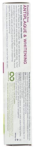 Tom's of Maine Tom's of Maine, Fluoride Free Antiplaque & Whitening Toothpaste - Spearmint Gel, 4.7 Ounce