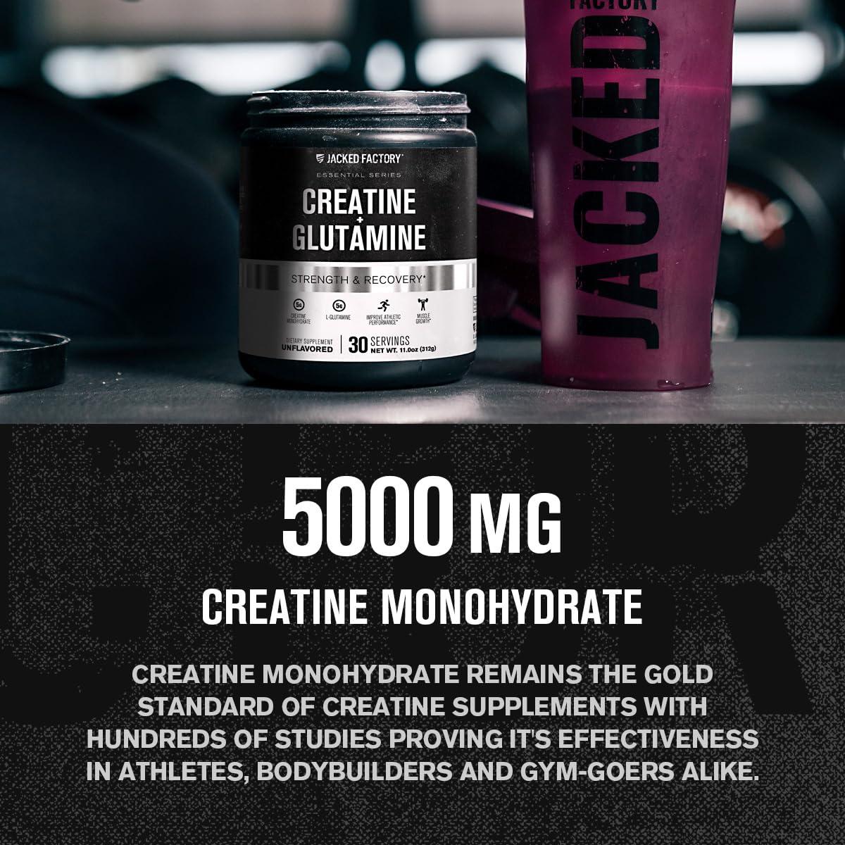 Jacked Factory Creatine + Glutamine - Creatine Supplement with L-Glutamine for Muscle Recovery, Muscle Growth, Increased Strength, Enhanced Energy Output, and Gut Health - 30 Servings, Unflavored