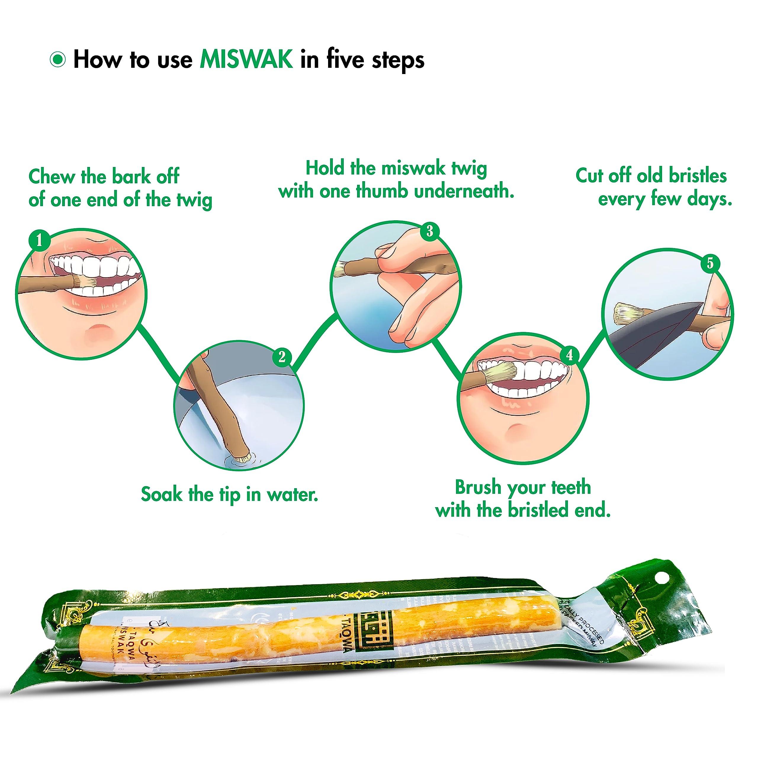 AL-TAQWA AL-TAQWA Miswak Stick |Miswak Toothbrush, Pack of 12, Natural Toothbrush, Chewable (Meswak)|Siwak Oral Hygiene, Teeth Whitening, Control Bad Breath | Eco-Friendly, Biodegradable, Nitric Oxide
