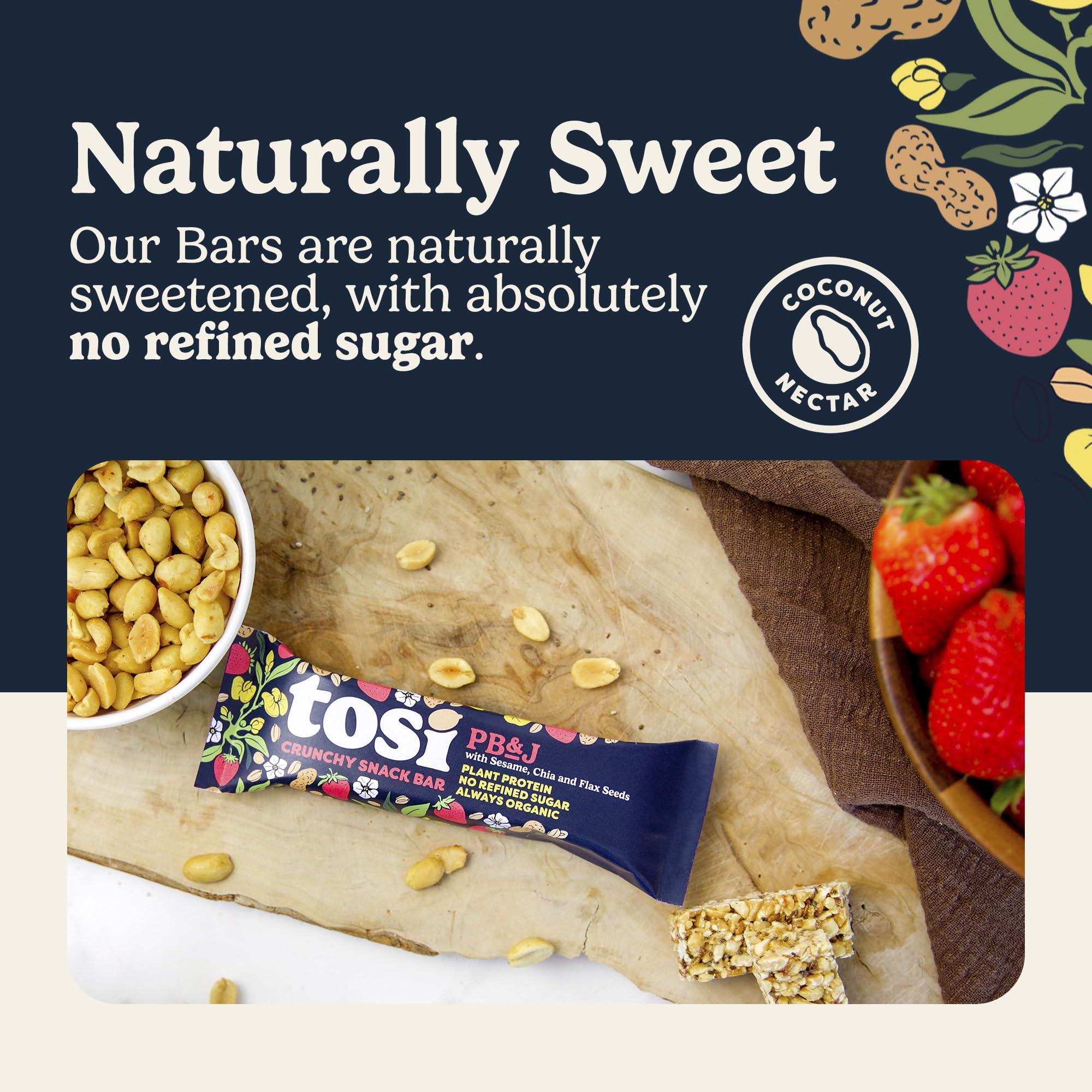 Tosi Tosi Peanut Butter & Jelly Protein Bars, Plant Based with Nuts, Gluten-Free Crunchy Snacks, Vegan, Organic, Flax & Chia Seeds, Soy-Free, Omega 3s, 7G Protein, 1 oz, 12-Pack