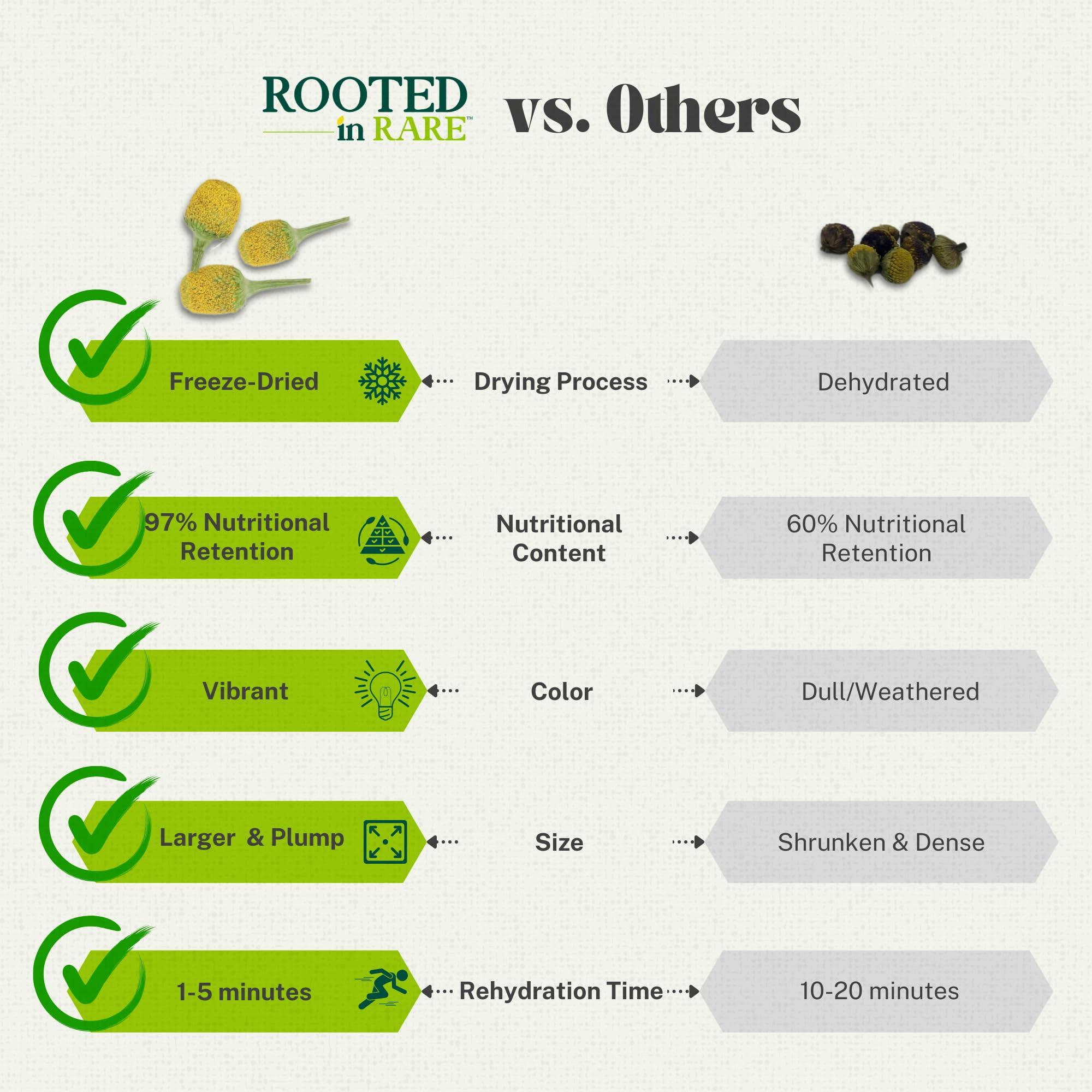 Rooted In Rare Buzz Buttons Edible Flowers for Cocktails | Grown in USA | Spilanthes | Freeze Dried Edible Flowers for Drinks | Szechuan Buttons | Edible Dried Flowers for Drink Garnish | .2oz Pouch