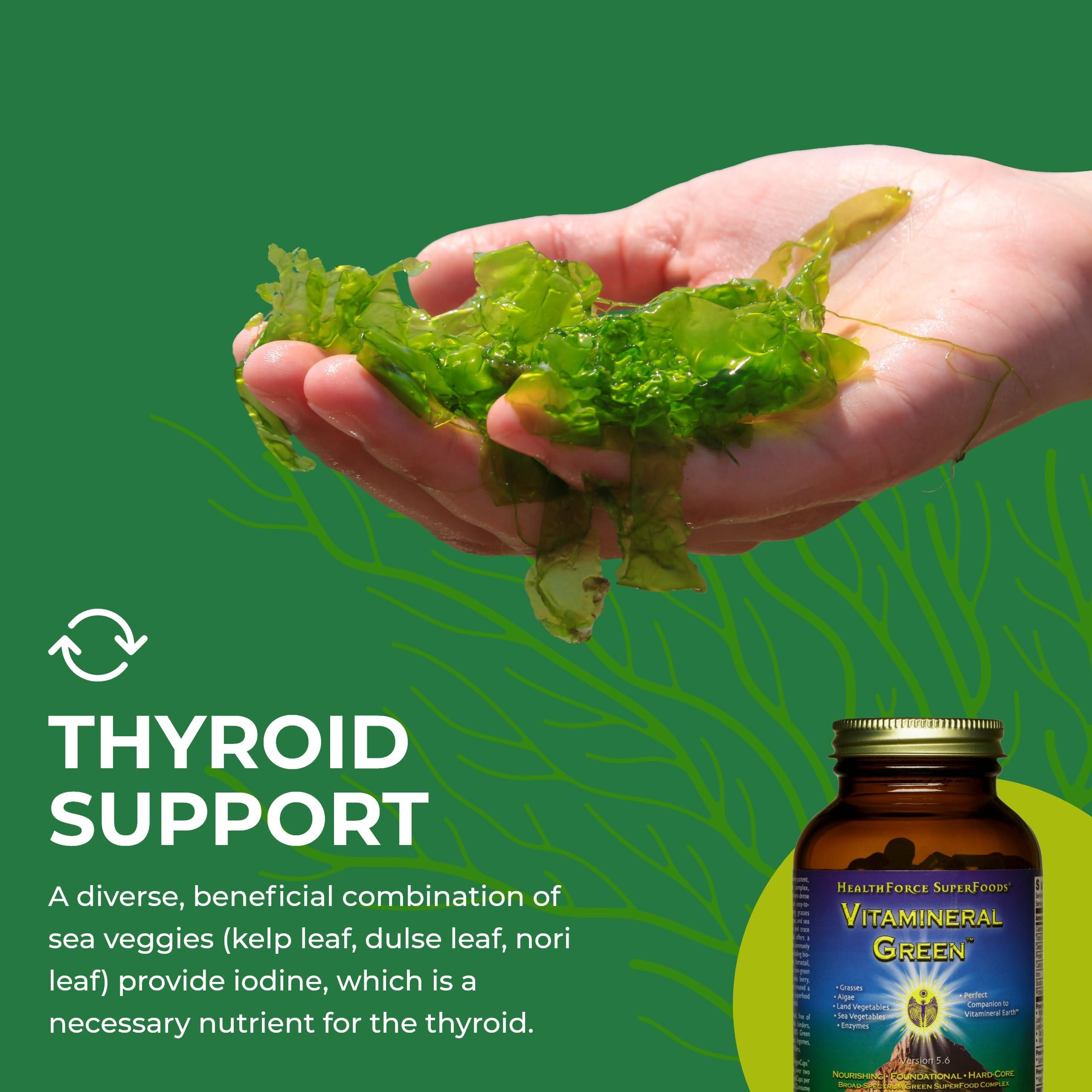 HEALTHFORCE SUPERFOODS HealthForce SuperFoods Vitamineral Green - Mineral Supplement for Immune & Thyroid Support - Green Powder Supplement with Ingredients from The Land - Gluten-Free & Vegan - 120 Capsules