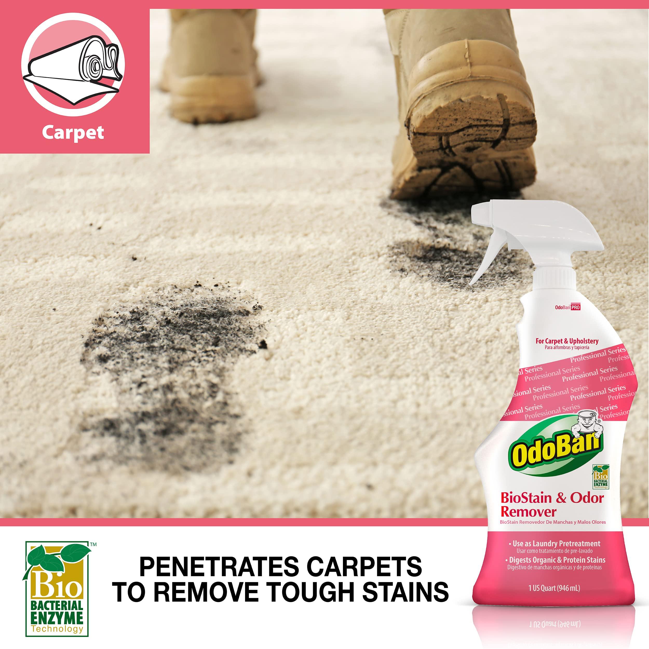 OdoBan OdoBan Professional Cleaning BioStain and Odor Remover for Carpet and Upholstery, 32 oz Ready-to-Use Spray