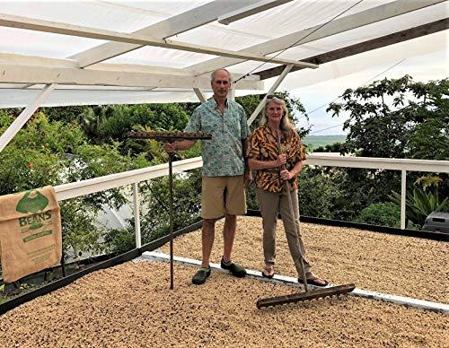 Domain Kona Gourmet Coffee 100% Kona Coffee – Whole Bean, Dark roast, Single estate gourmet coffee, 16 ounces, Ships direct from Domain Kona, farm fresh