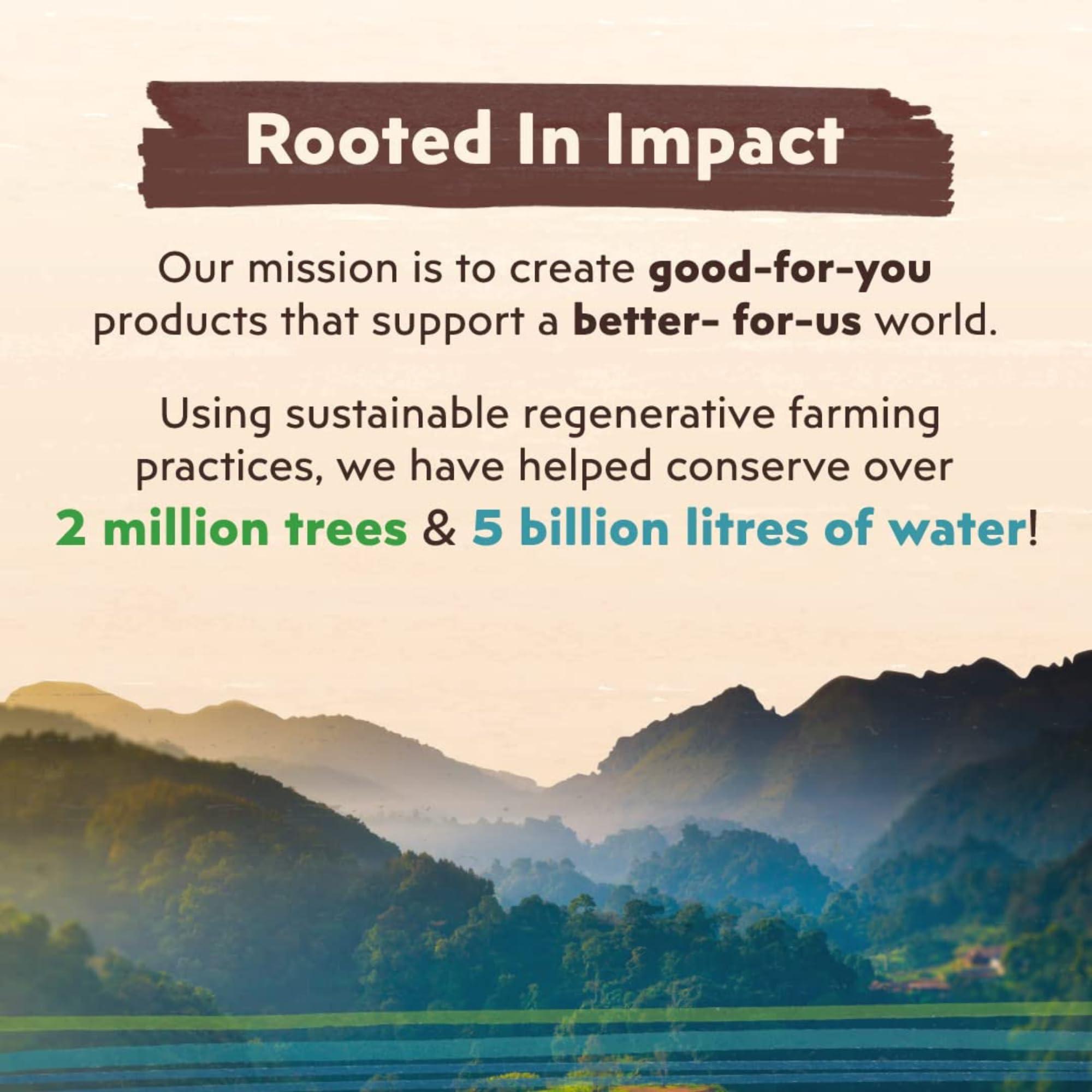 Big Tree Farms Big Tree Farms Organic Brown Coconut Sugar - Coconut Palm Sugar, Unrefined, Fine Crystals, Cane Sugar Replacement, Coconut Blossom Nectar, Vegan, Perfect for Baking - 16 Oz (Pack of 3)