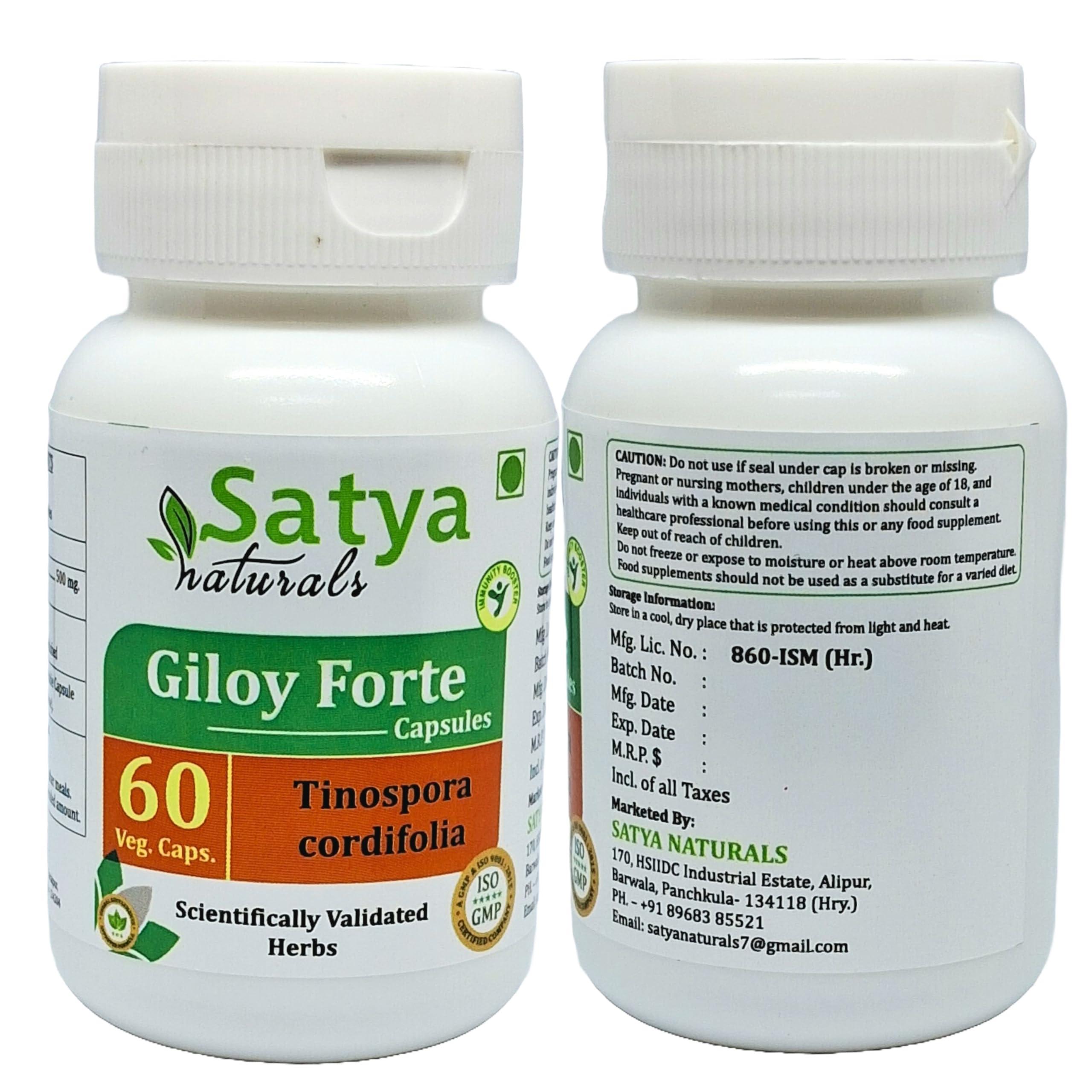 Satya Naturals Giloy Forte Capsules 500 mg. 60 Veg. Capsule | Guduchi (Tinospora Cordifolia) Extract Capsules for Men and women | Indian Ayurvedic Herbal Supplement/Remedies (2 Bottles of 60 Capsules)