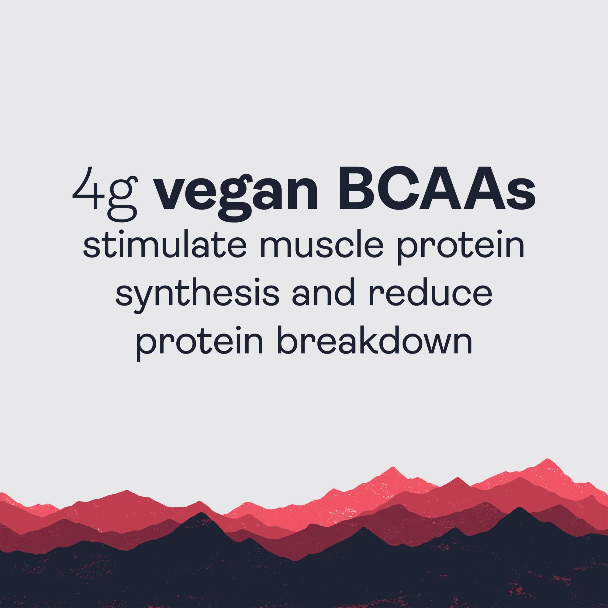 Gnarly Nutrition Gnarly Nutrition Natural Pre-Workout Powder - Endurance & Recovery, NSF Contents Certified, Vegan Pre Workout Wellness, Sports Nutrition - Mango, Caffeine 14.82oz