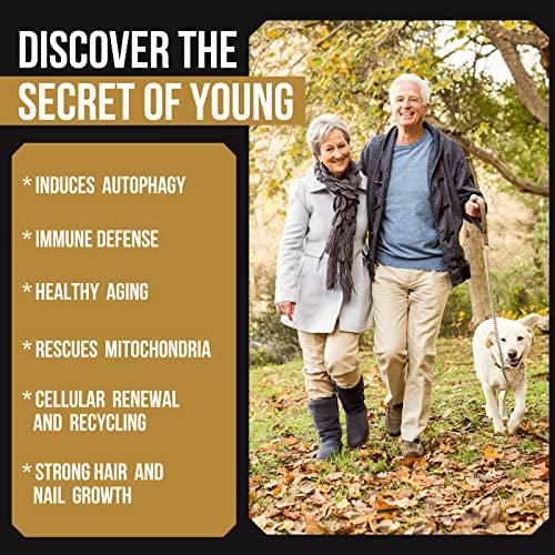 Thalacy Spermidine Supplements 13mg - 1300mg Wheat Germ Extract Capsules Potent Formula with Higher Spermidine Content and Zinc for Healthy Aging, Daily Immune System and Cell Renewal, 120 Capsules