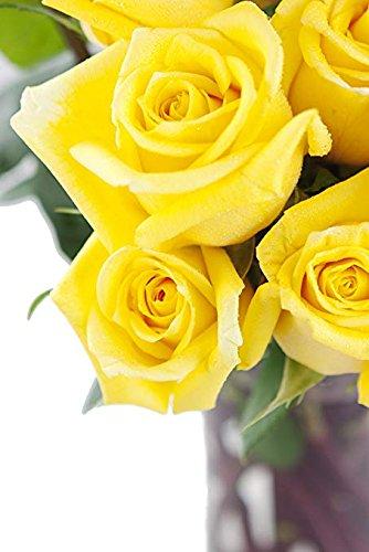 Cakecery Super Natural Edible Cake Image Topper Personalized Birthday Cake Banner 1/2 Sheet