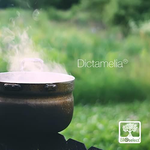 BIOselect BIOselect Organic Olive Oil Soap - Spring Lavender (80 GR)