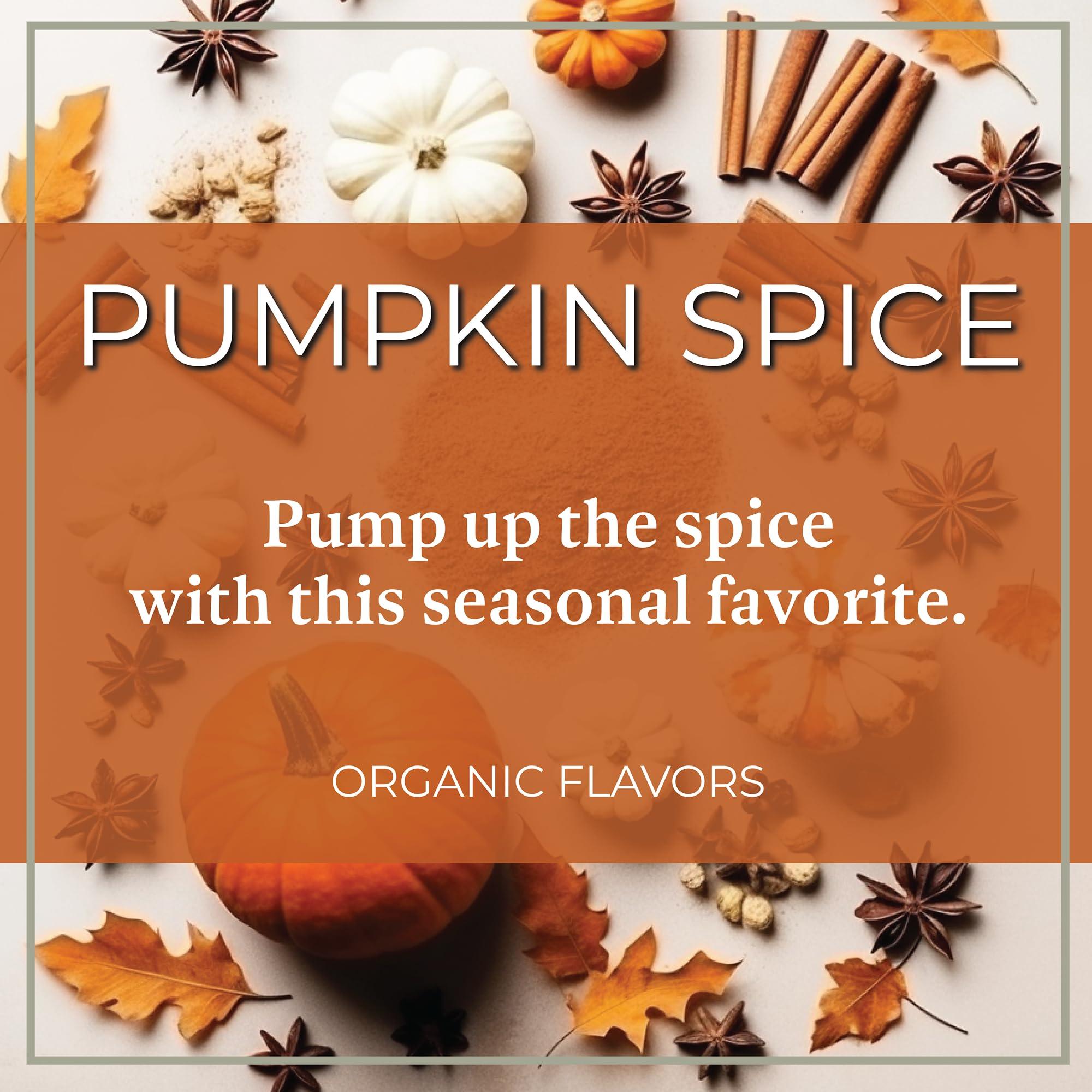 The Bean Coffee Company The Bean Organic Coffee Company Pumpkin Spice, Medium Roast, Ground Coffee, 16-Ounce Bag, Caf molido tostado orgnico