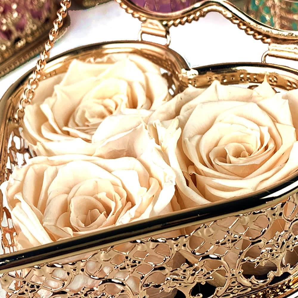 Mayorga Mayorga Medium Roast Whole Bean Coffee, 2 lb bag - Mayan Blend Organic Coffee Roast - Direct Trade, Specialty Grade, Non-GMO 100% Arabica Coffee Beans