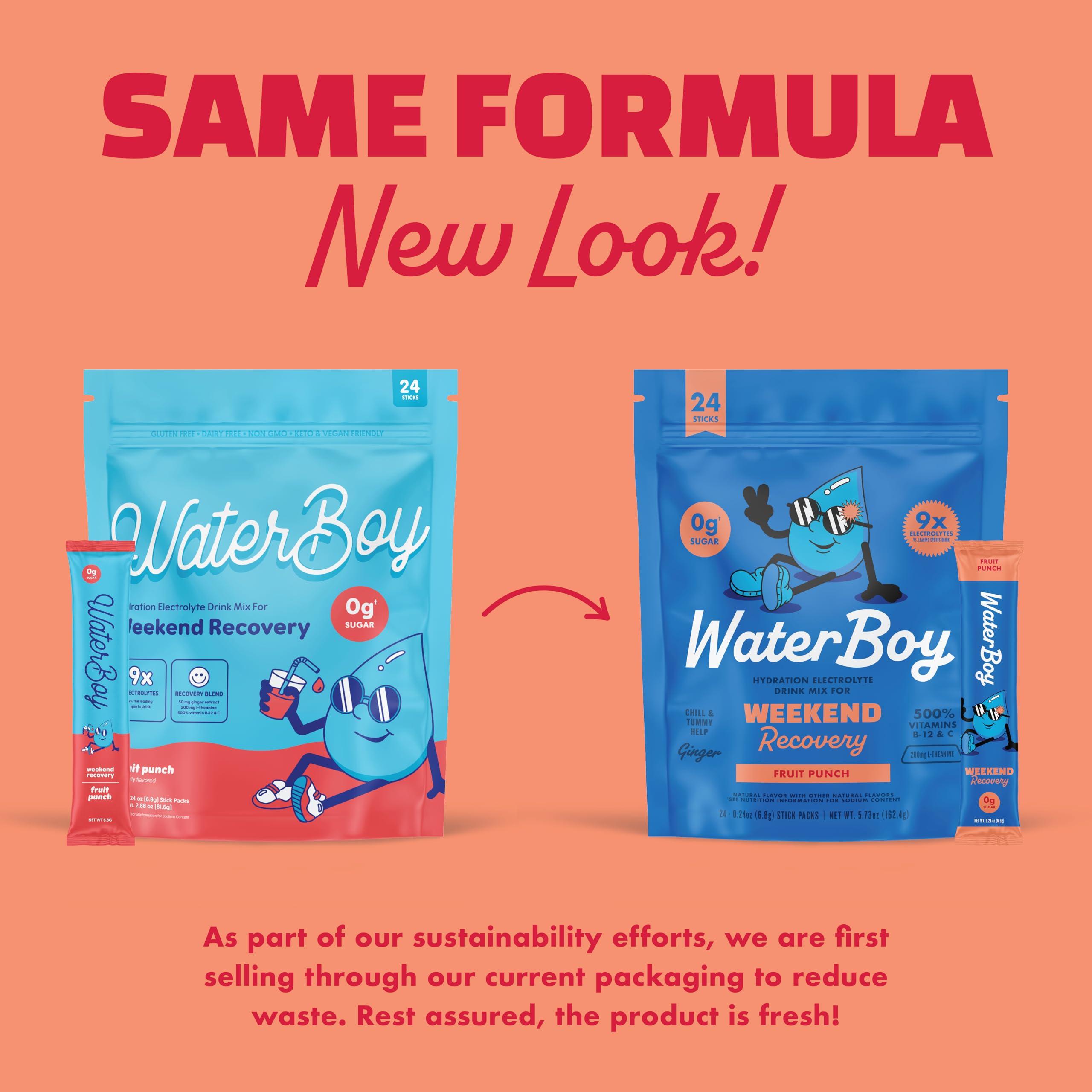 Waterboy Waterboy Weekend Recovery | 3,200mg Electrolyte Powder Packets | Ginger + L-Theanine + Vitamins | No Sugar, All Natural, Gluten Free | 24 Drink Stick Mixes (Fruit Punch)
