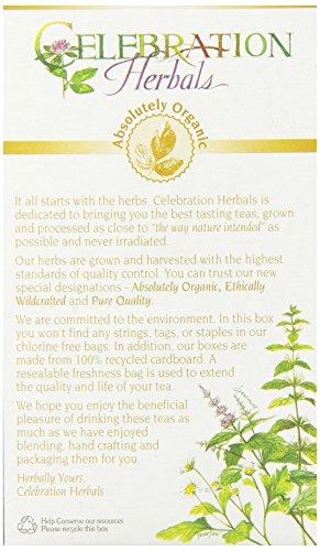 Celebration Herbals CELEBRATION HERBALS Rooibos Red Tea Organic 24 Bag, 0.02 Pound