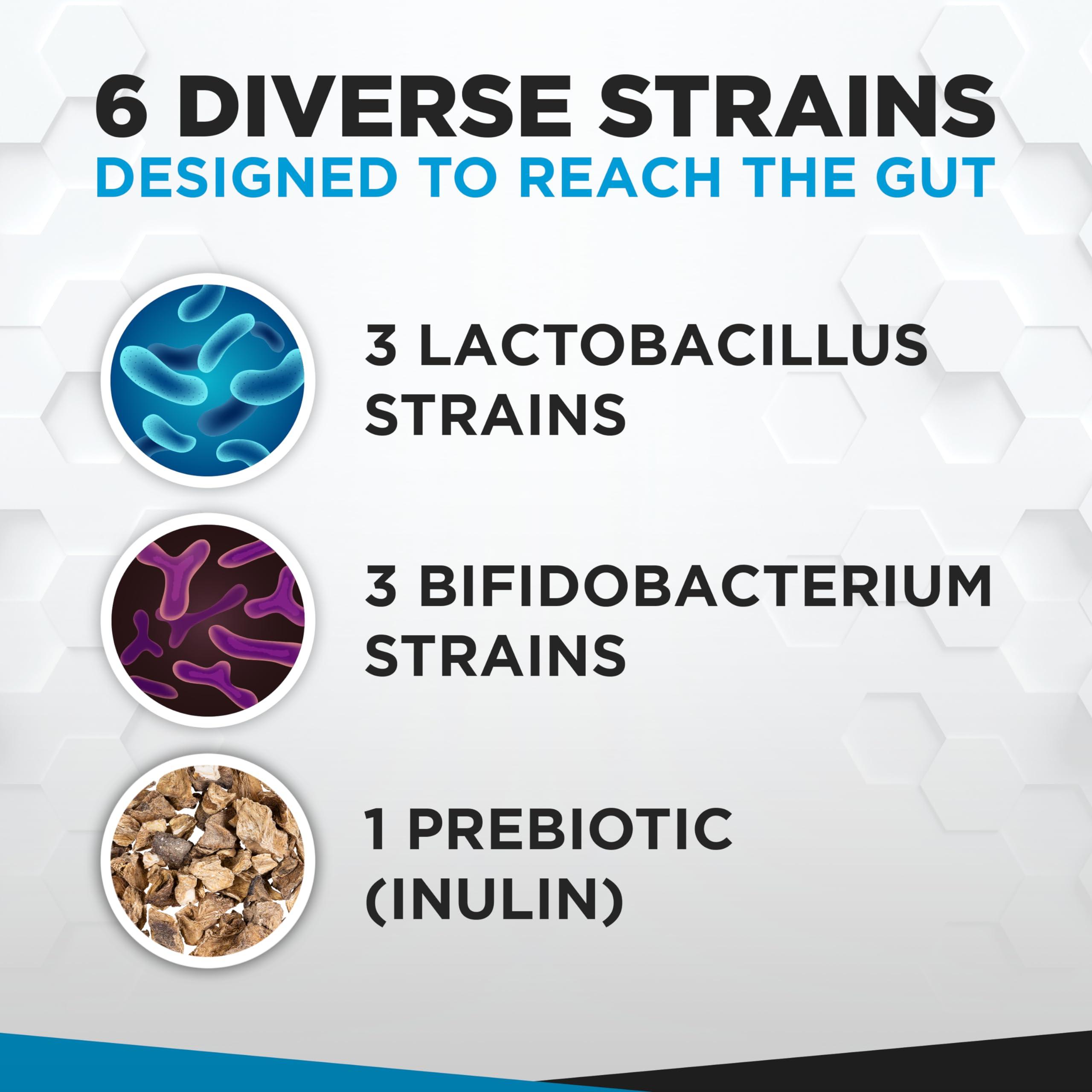 Natural Foundation Supplements Probiotics for Digestive Health 60 Capsules | 10 Billion CFU Scientifically Formulated Multi Strain Probiotic Blend | Organic Supplements with Prebiotics for Men & Women (10 Billion Probiotics)