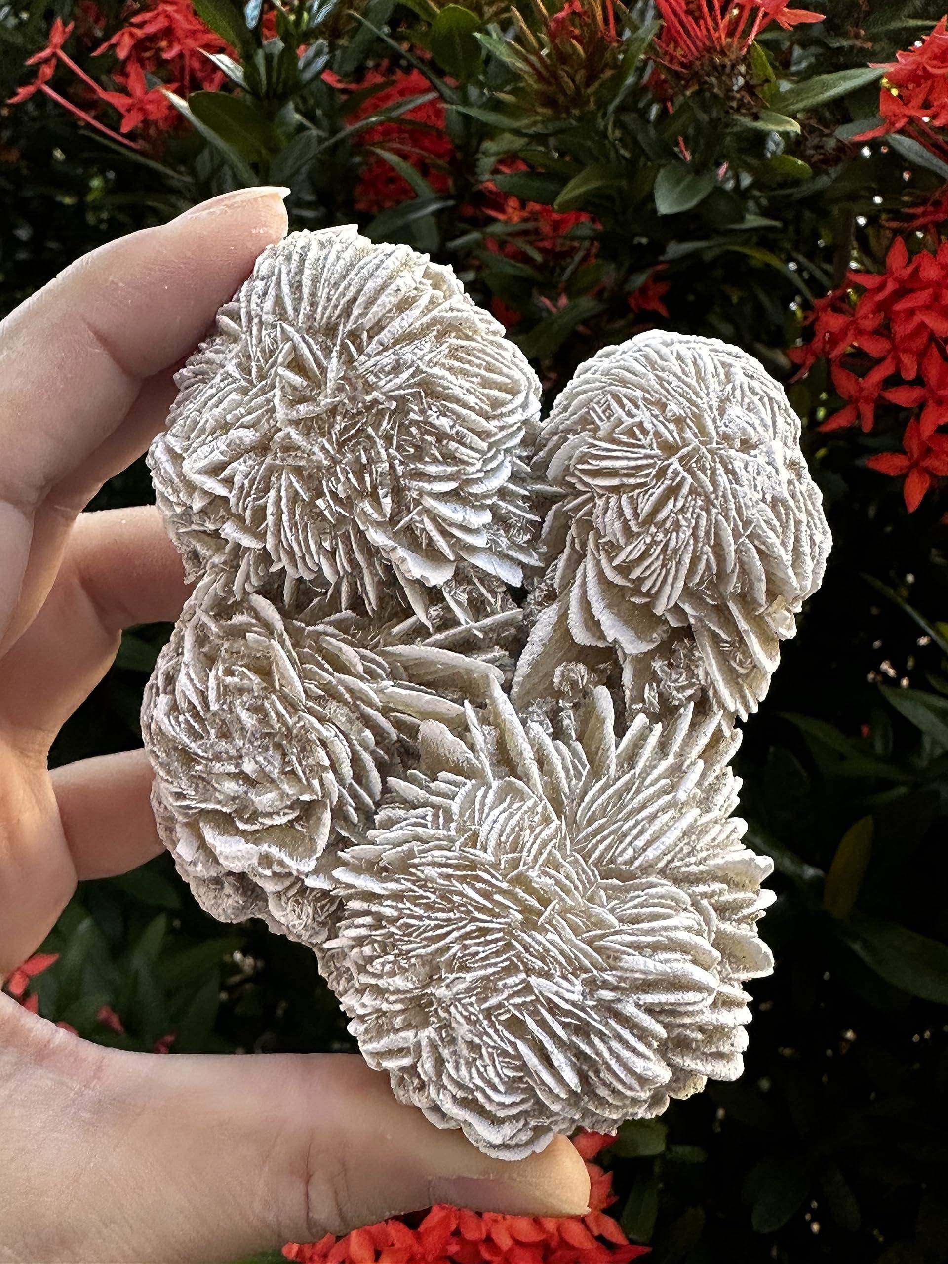 GAF TREASURES Large Desert Rose Cluster, Natural Desert Rose Selenite Stones, Desert Gypsum Rose, Raw Selenite Rose Crystal, Rose Rock, Sand Rose (0.3-0.5 lb)