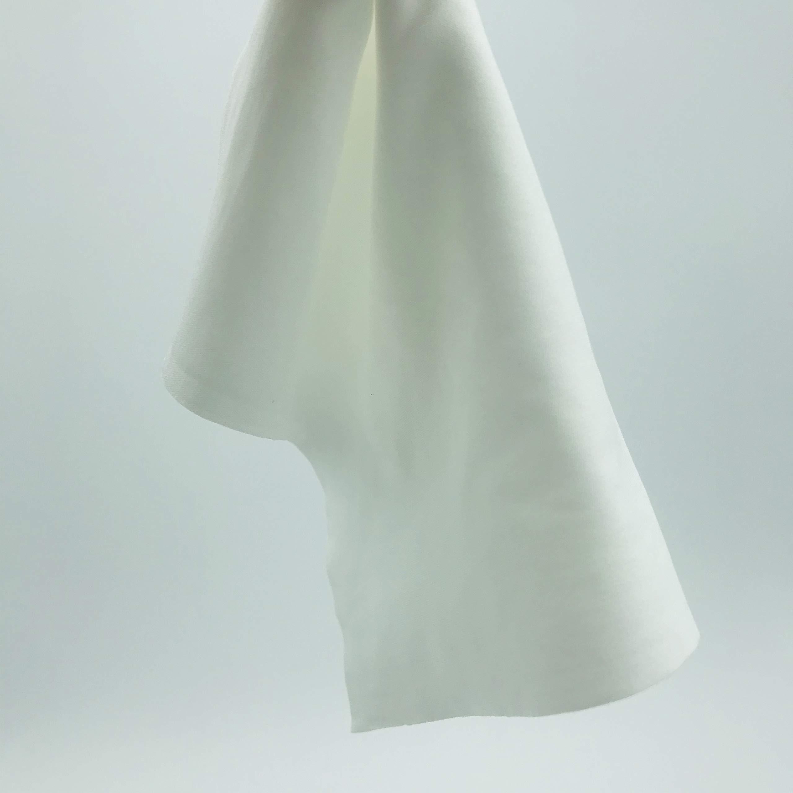 AAwipes AAWipes Cleanroom Cloth Wipes 9\"x9\" (Bag of 150 Pcs) Double Knit 100% Polyester Wipers Lint Free Cloths with Ultra-fine Filaments, Laser Sealed Edge, Class 100 Cloths, Ultra-soft Wipes CP14009