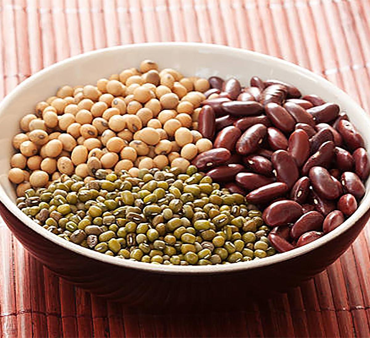 Marde Ross & Company Bush Bean Red Kidney Bean Seeds