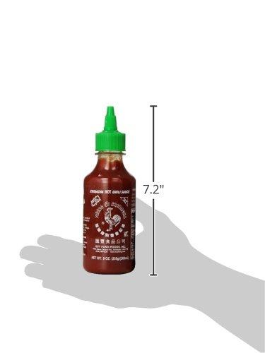 Huy Fong Huy Fong Sriracha Sauce, 9 Ounce (Pack of 24)