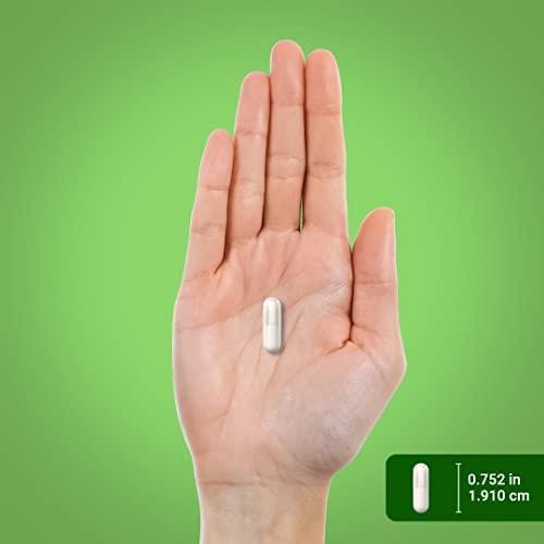 Piping Rock Piping Rock Probiotic Acidophilus Capsules for Women and Men | 3 Billion Live Cultures | 120 Pills | 14 Strains Supplement | Non-GMO, Gluten Free