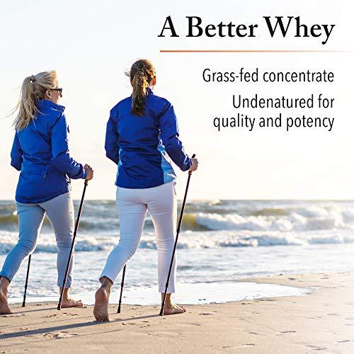 Natural Factors Whey Factors by Natural Factors, Grass Fed Whey Protein Concentrate, Aids Muscle Development and Immune Health, Unflavored, 12 Oz